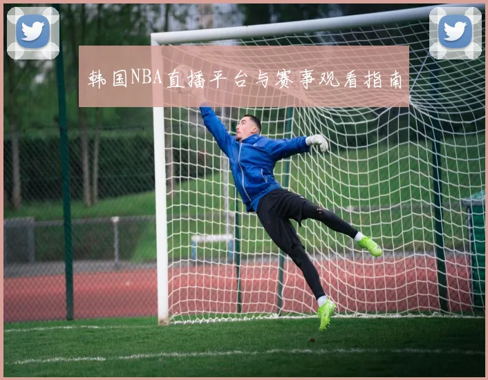 韩国NBA直播平台与赛事观看指南