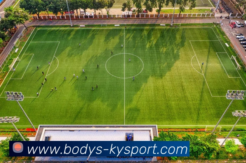 数据防护可视化